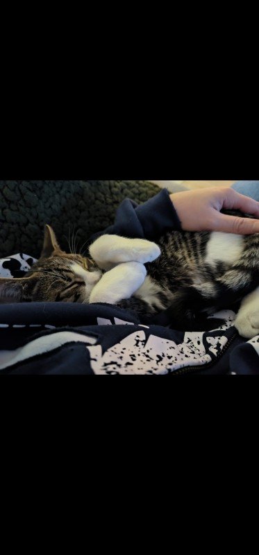 Gijs