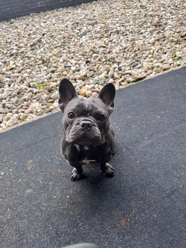 Pablo