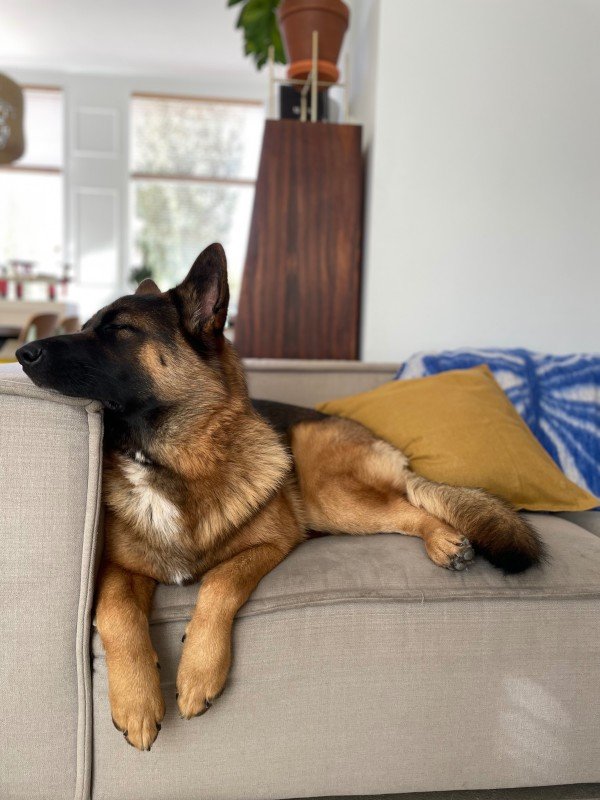 Loki