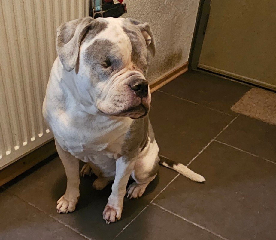 Tyson