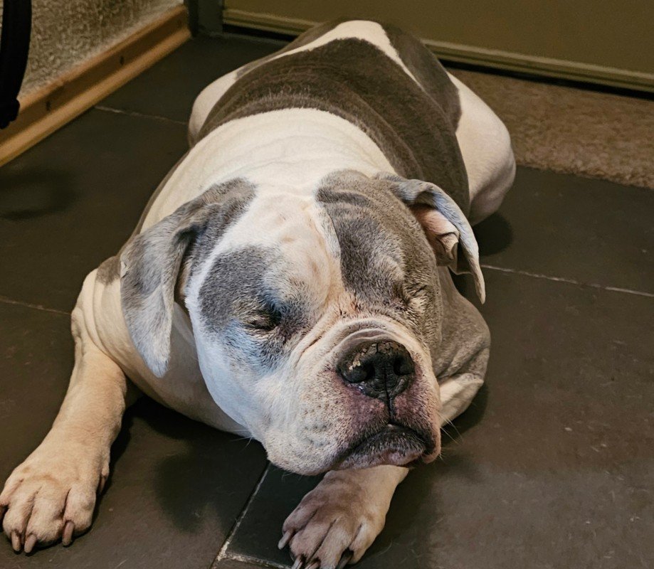 Tyson