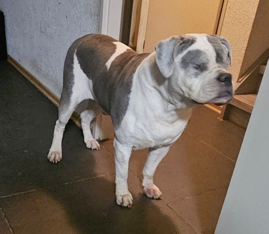 Tyson
