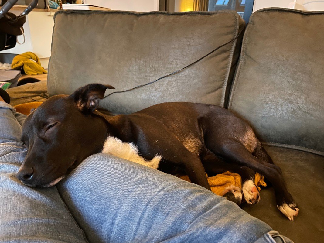 Luna