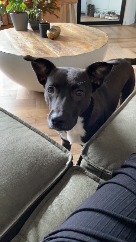 Luna