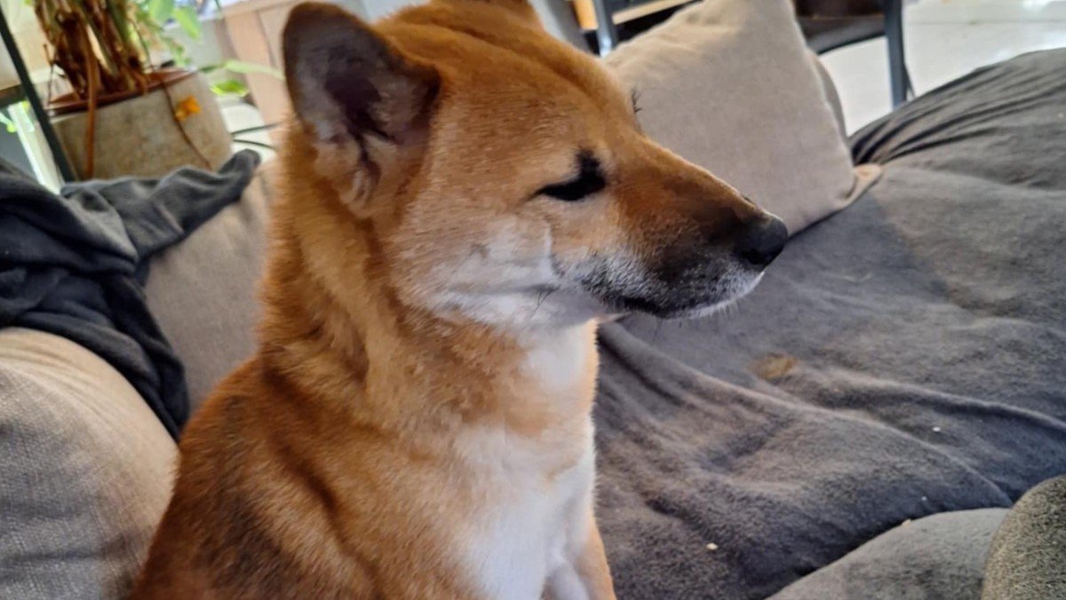 Odin