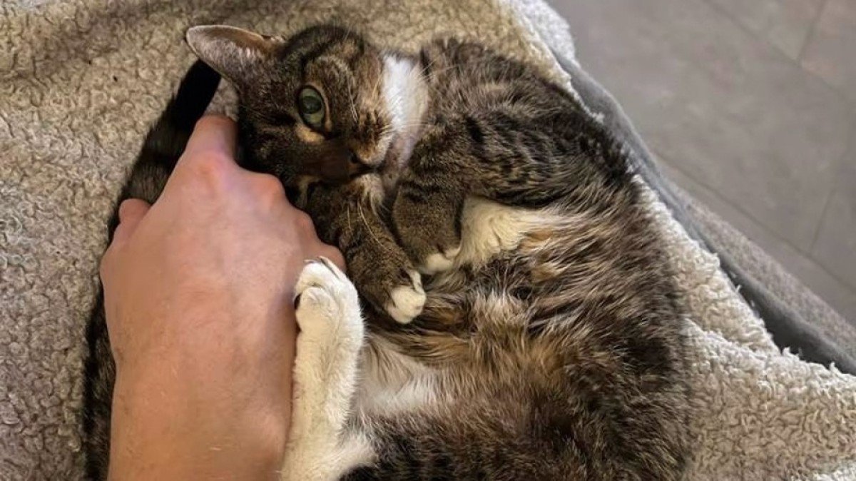 Tom