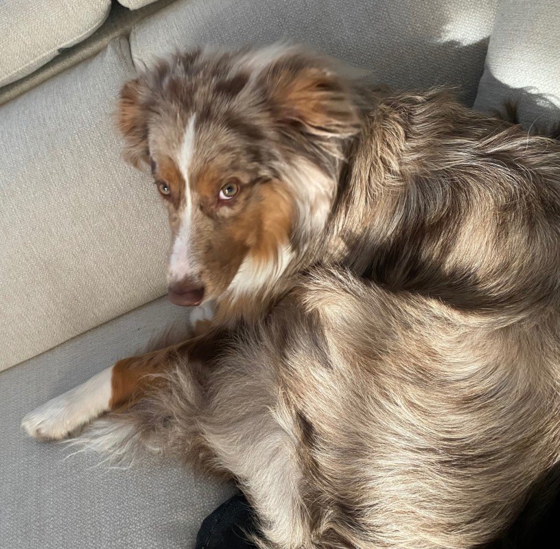Ted