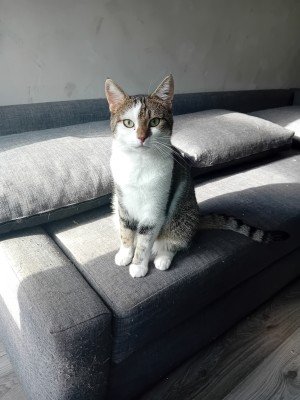 Skye