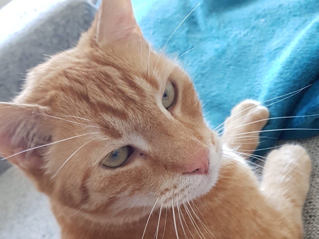 Bobby