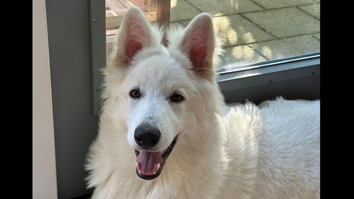Coco