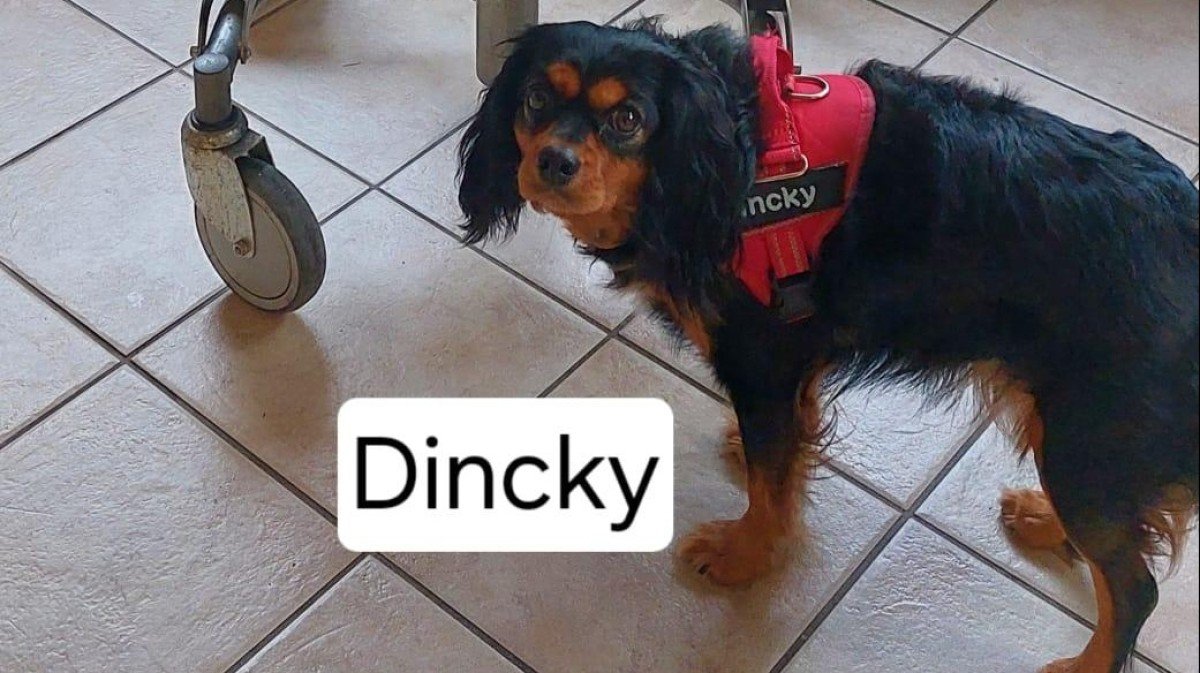Dincky