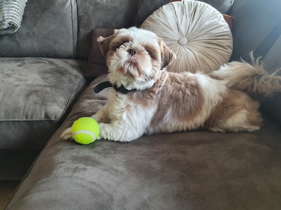 Bobbie