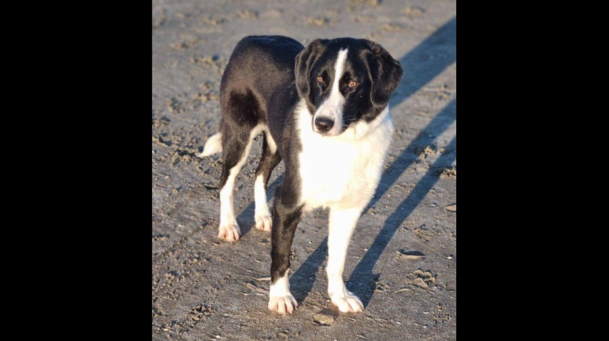 Zita