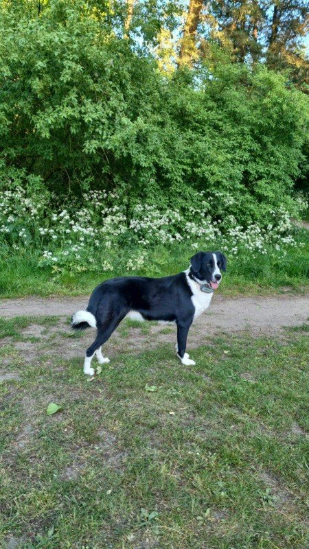 Zita
