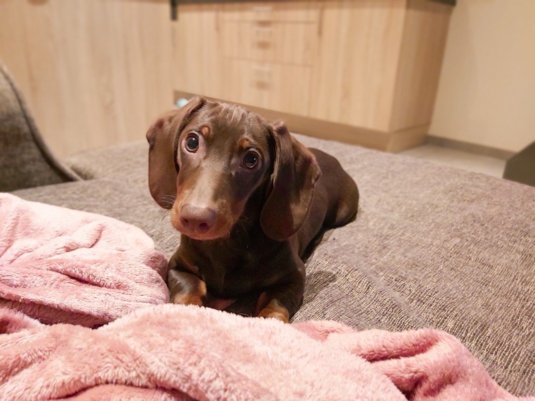 Twix
