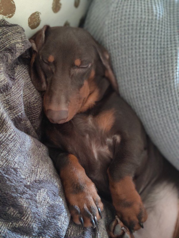 Twix