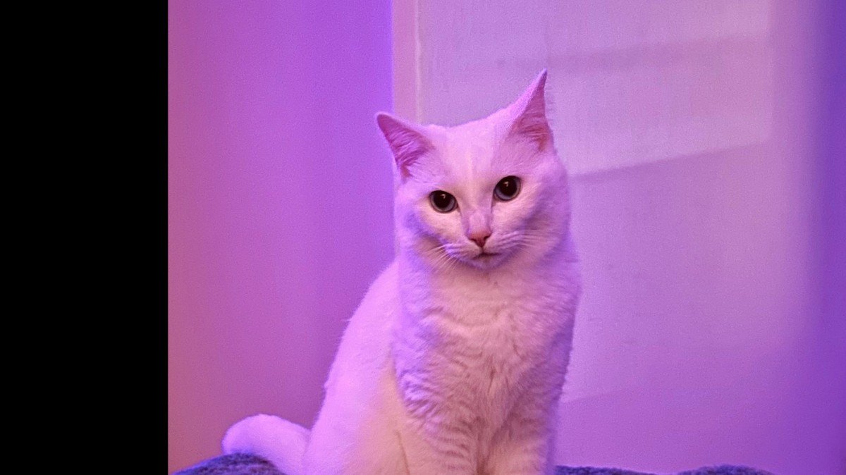 Nala