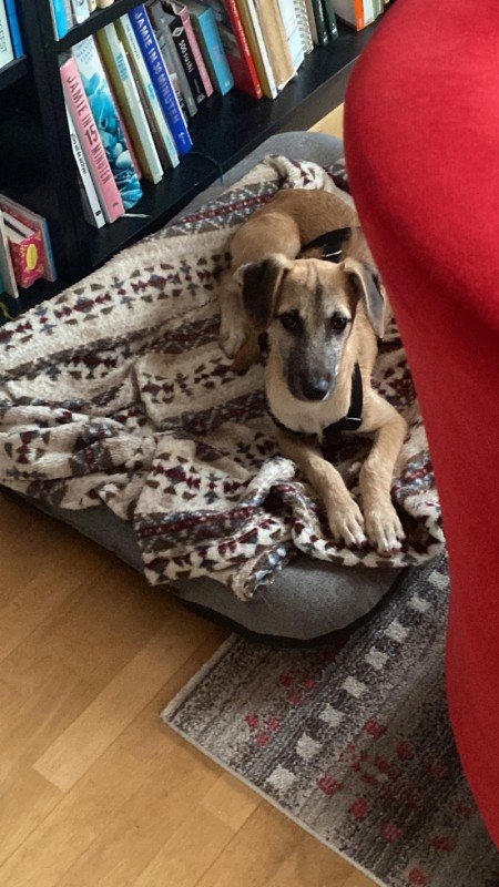 Zoe