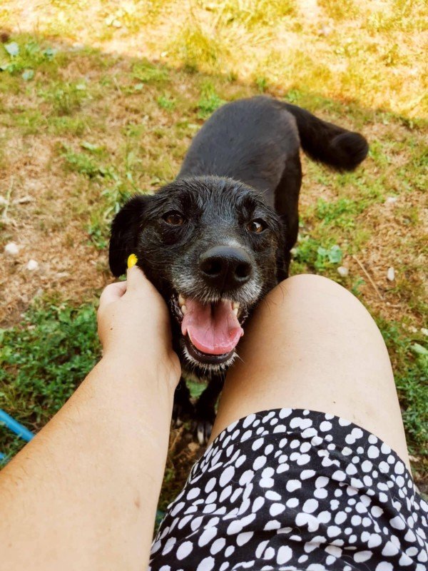 Smiley
