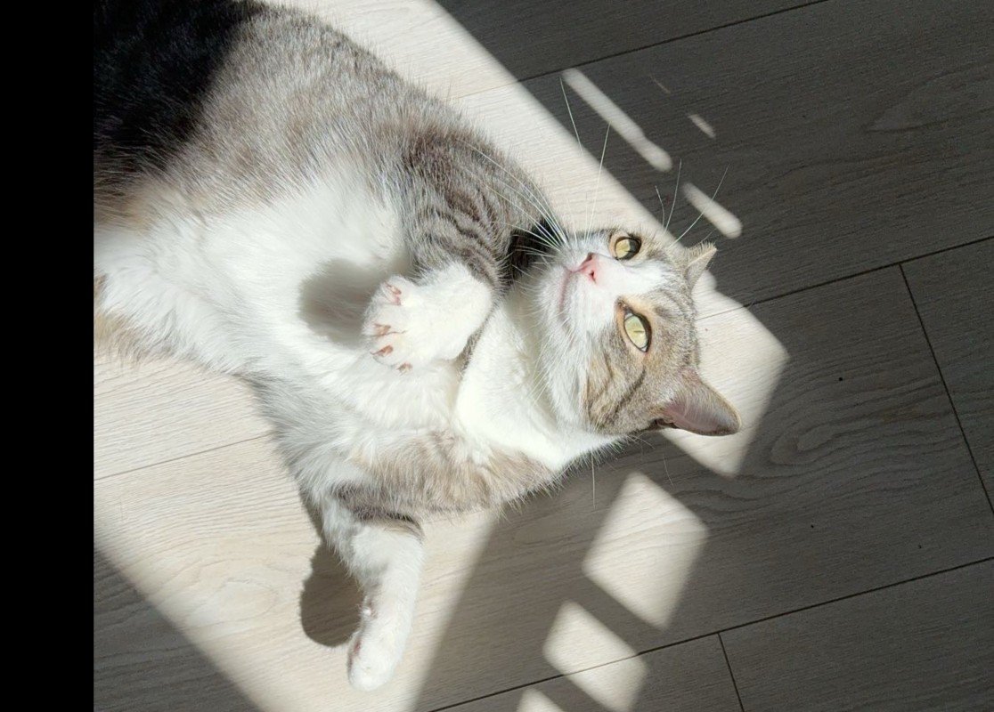 Pablo