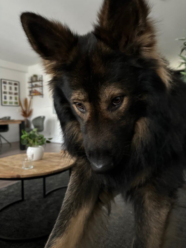 Max