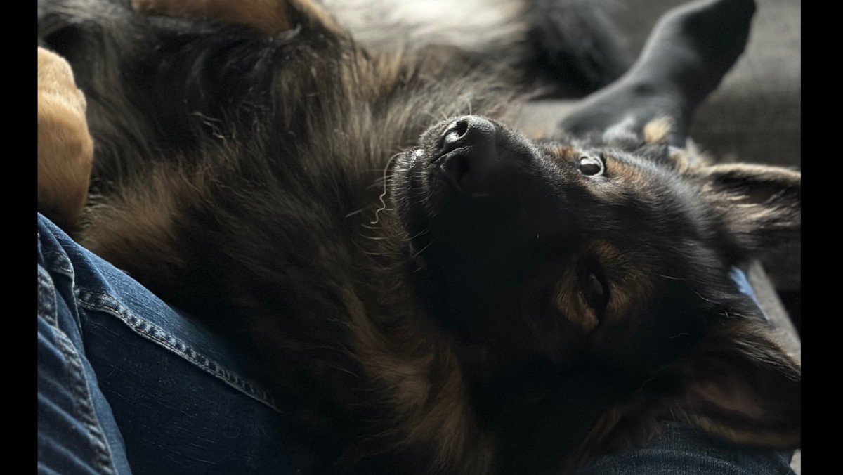 Max