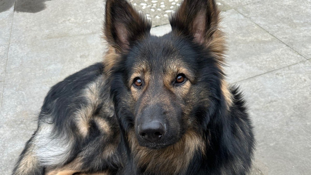 Max
