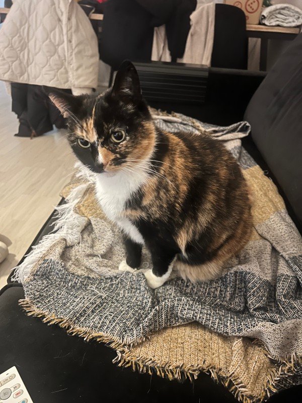 Chloé