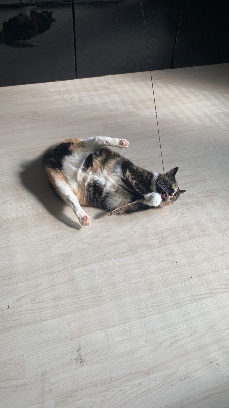 Chloé