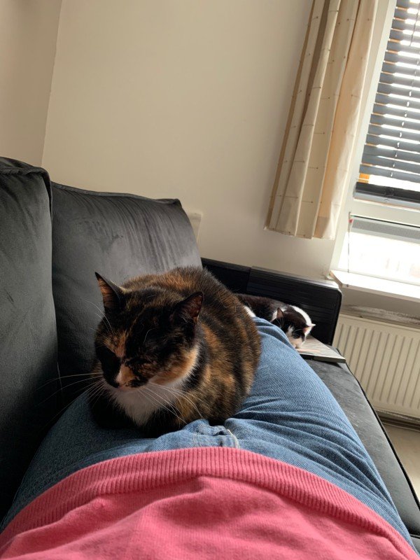 Chloé