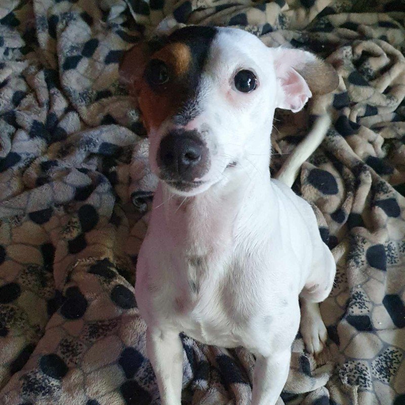 Gina