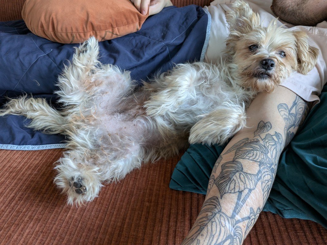 Charlie