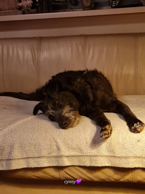 Oskar