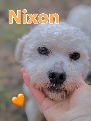 Nixon