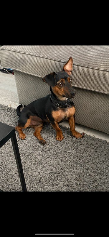 Jaxx