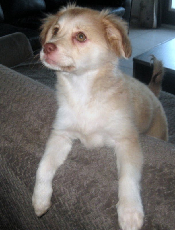 Mia