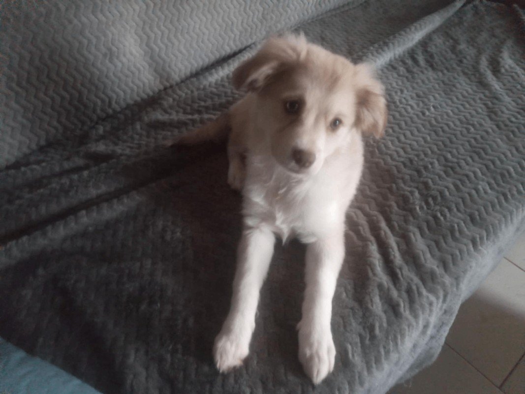 Mia