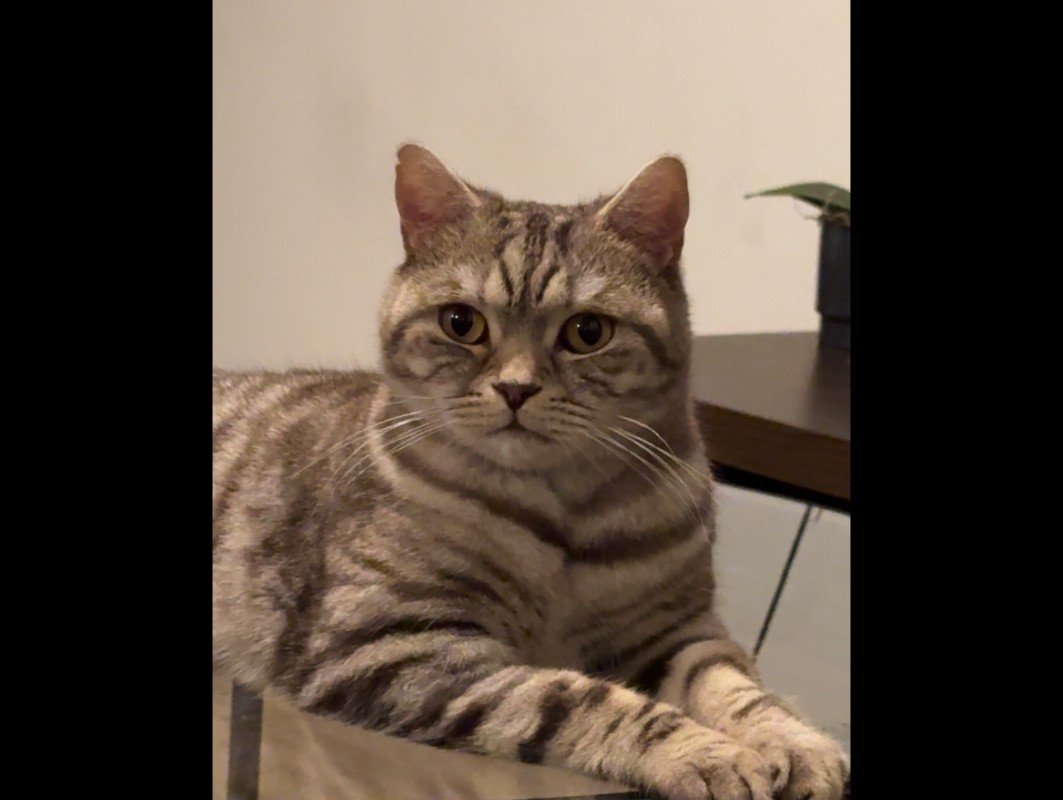 Kilo