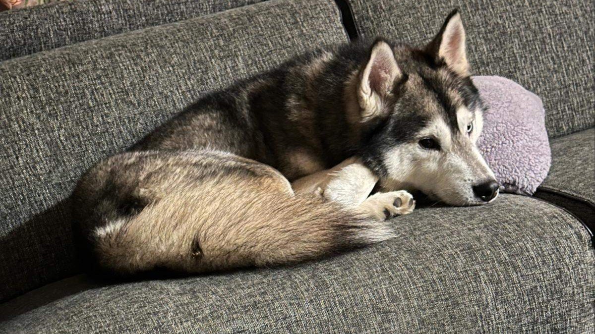 Yukon