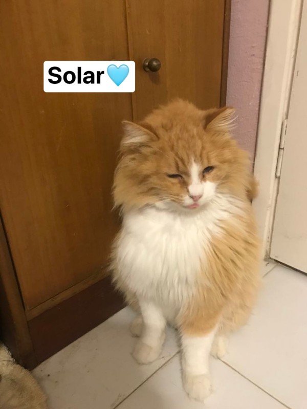 Solar