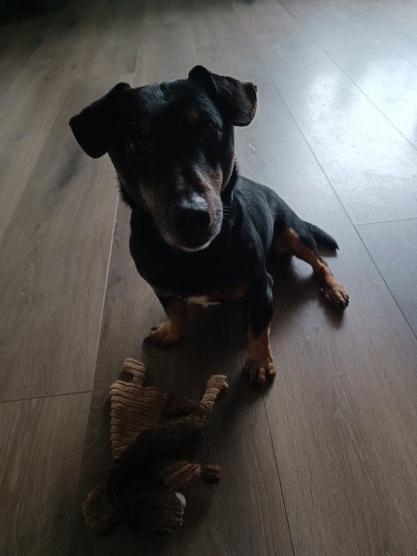 Buster