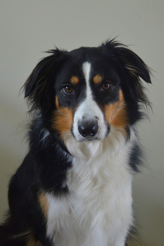 Bella