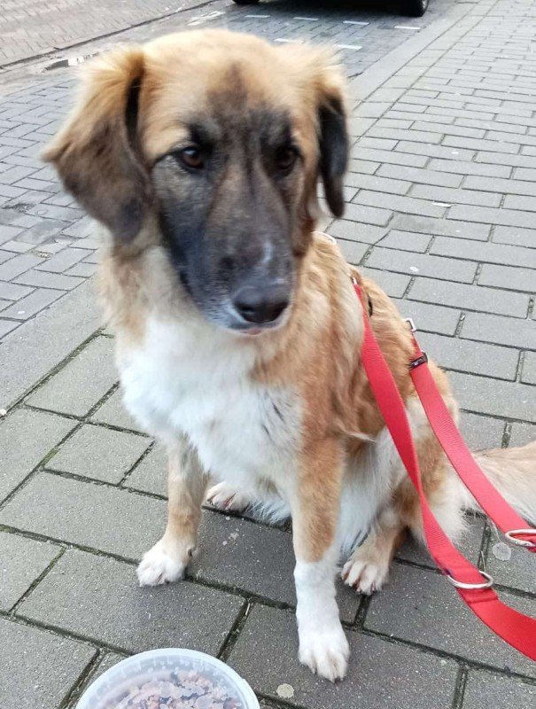Ellie