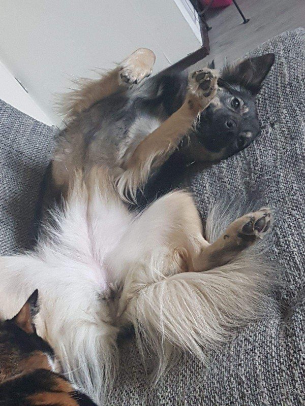 Bella