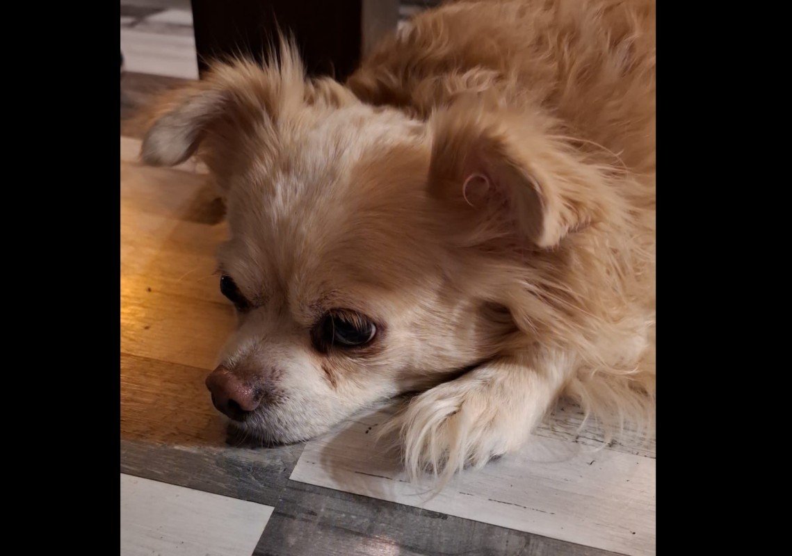 Beau