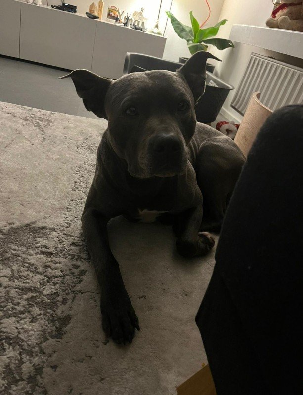 Tyson