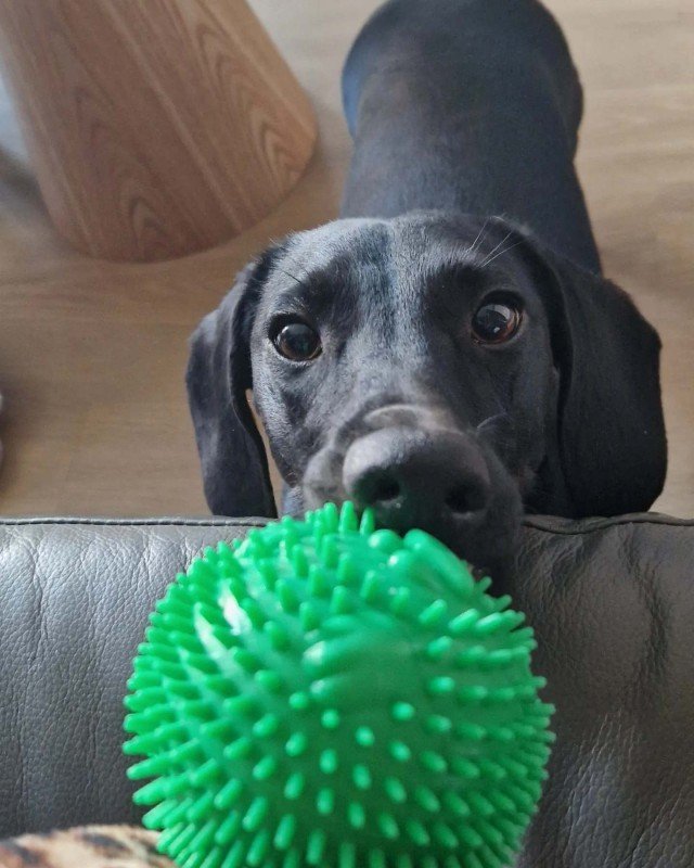 Max