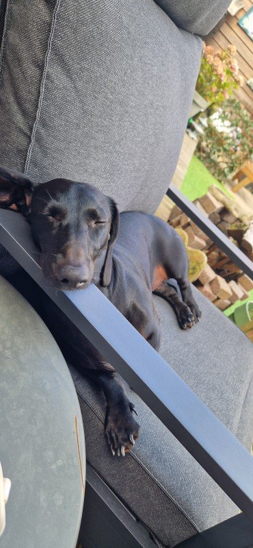 Max