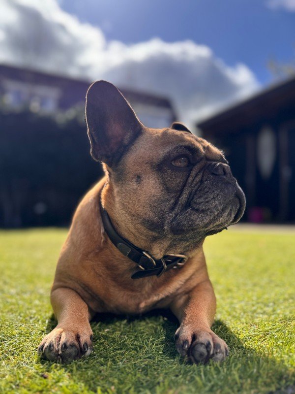 Maui