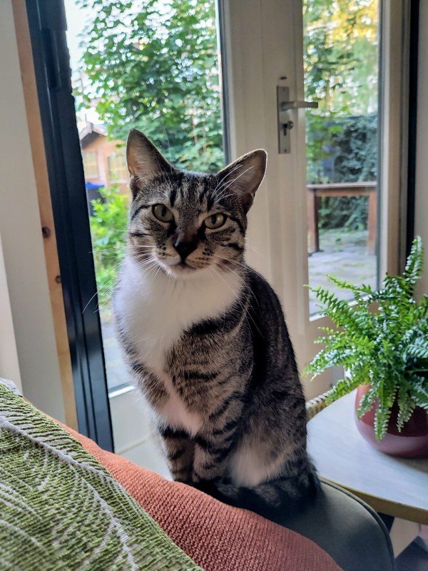 Lenny